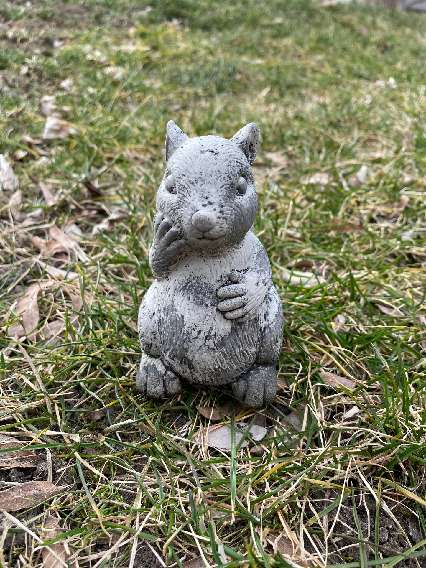 Handmade Squirrel Cement Statue