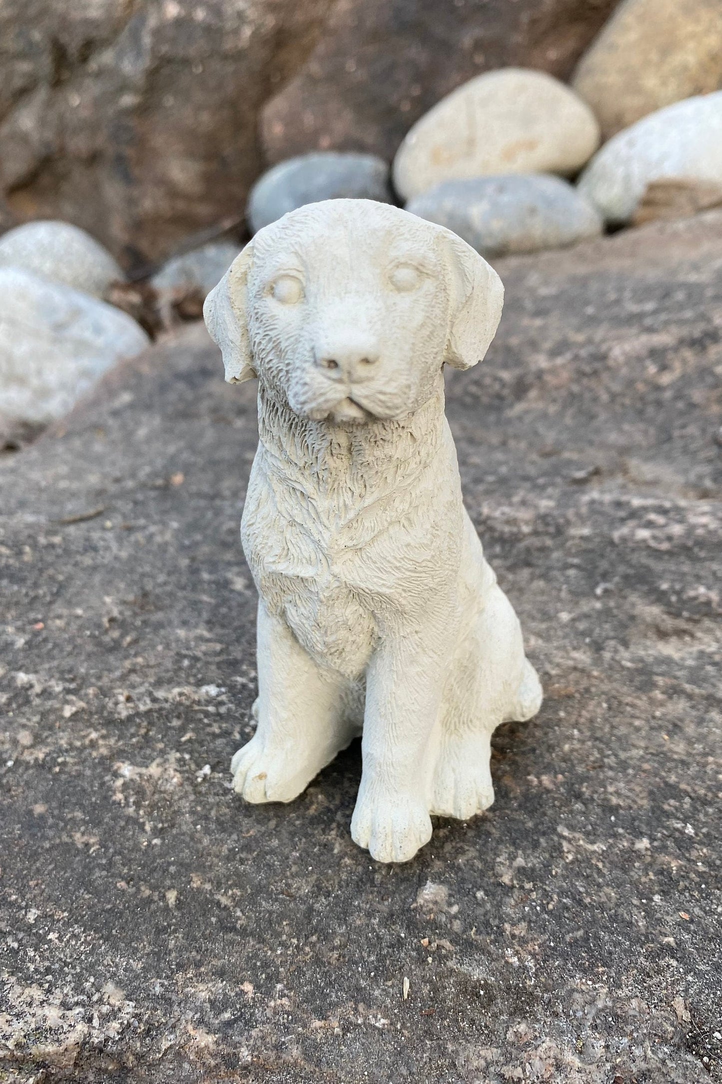 Handmade Labrador Retriever Cement Statue