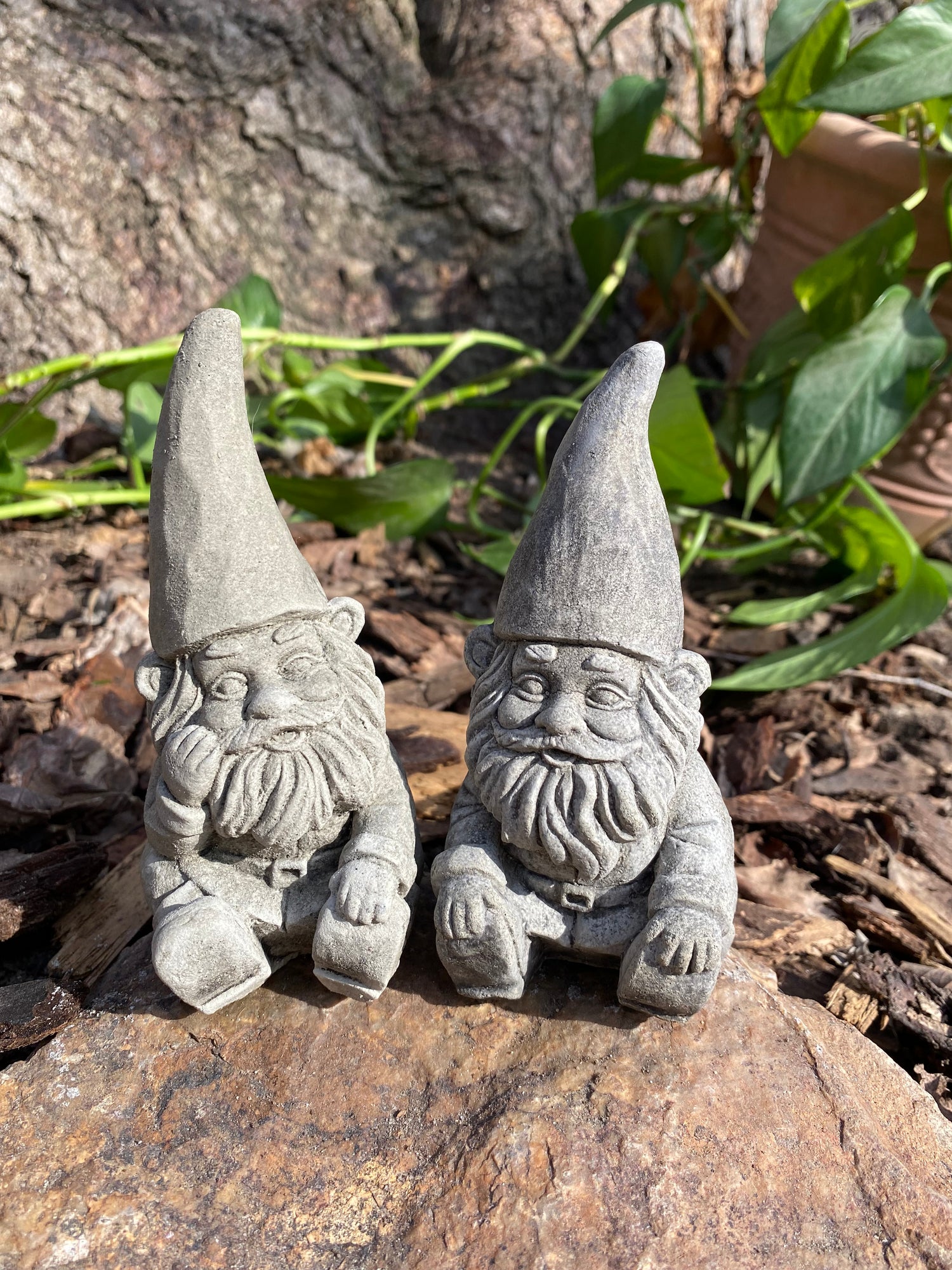 Gnomes