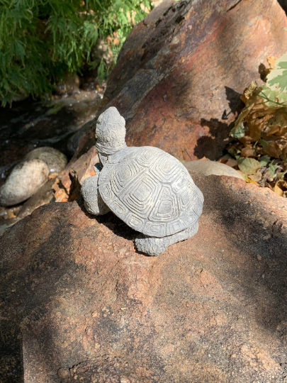 Handmade Turtle Cement Statue