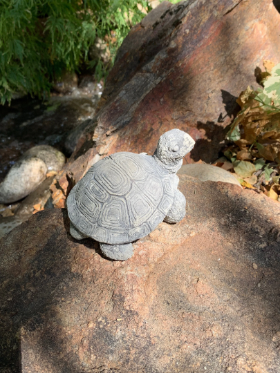 Handmade Turtle Cement Statue