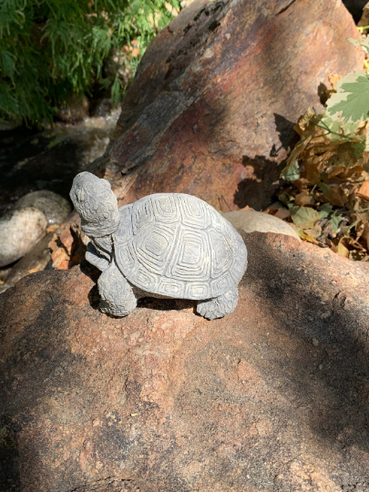 Handmade Turtle Cement Statue