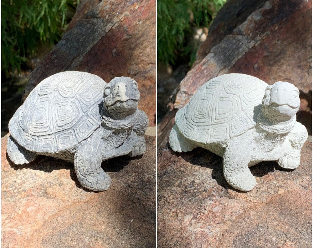 Handmade Turtle Cement Statue